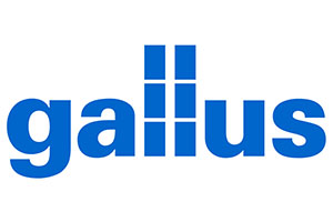 gallus
